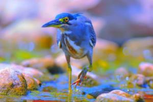 保定市中小学篮球联赛，精彩纷呈的盛事保定市中小学篮球联赛